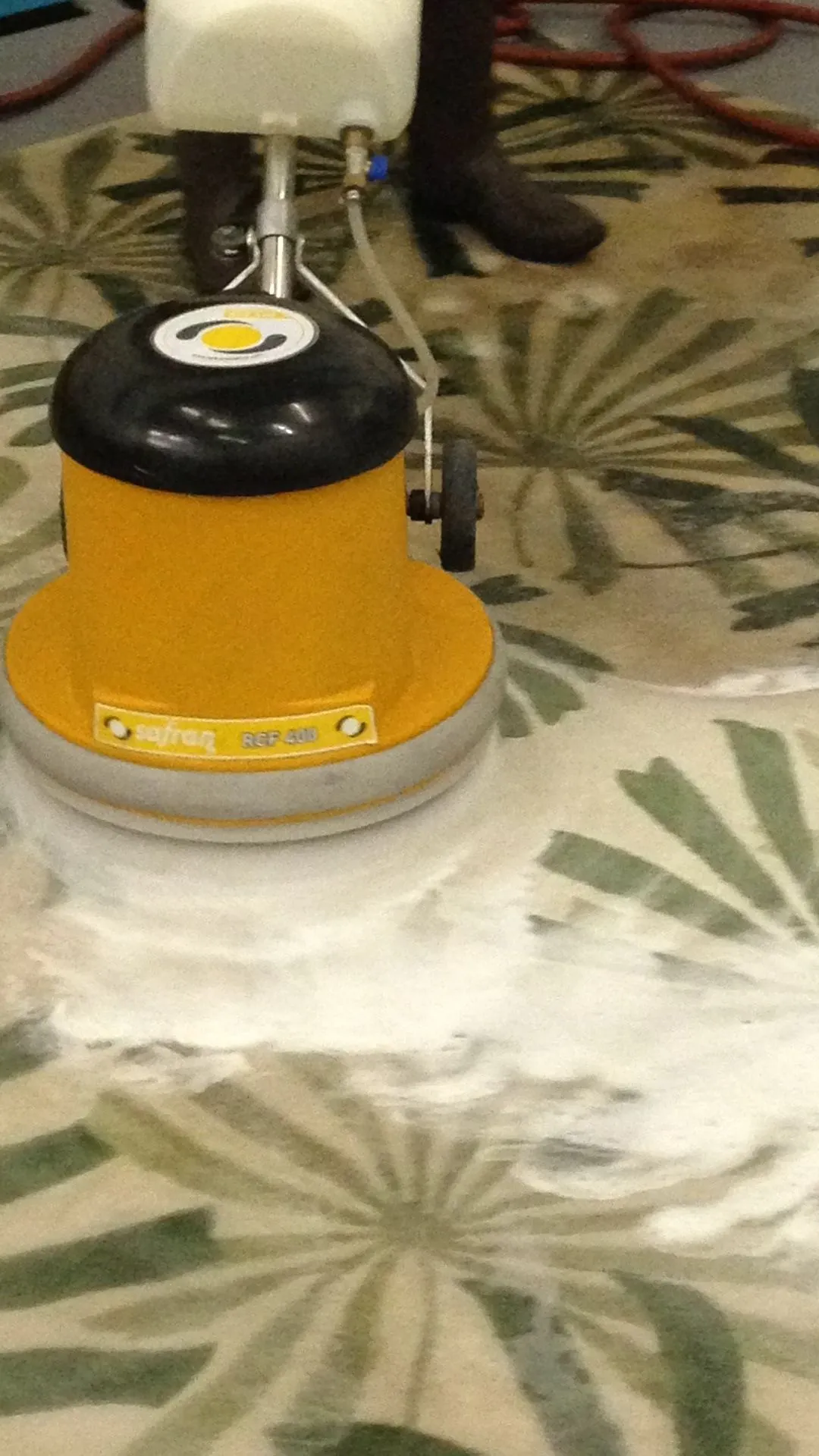 Rotary machine working natural pH shampoo through the pile of a rug
